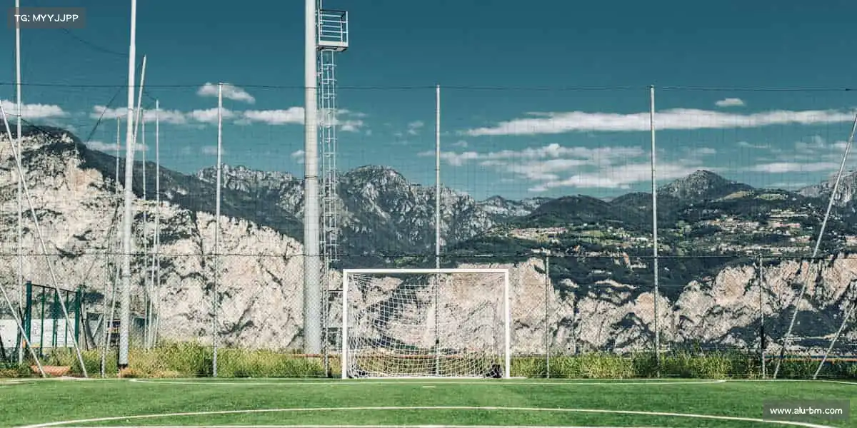 我们的核心竞争力